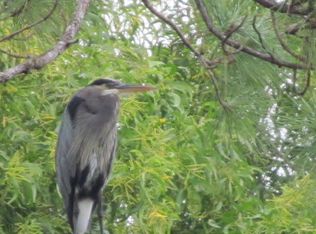 3065 C Rd, Loxahatchee, FL 33470