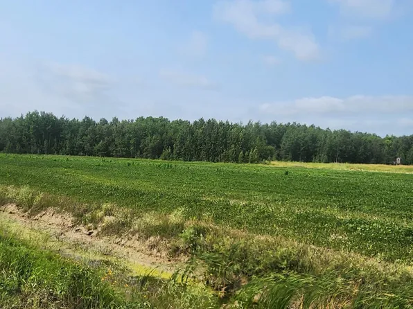 340th Ave NE, Goodridge, MN 56725