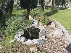Fish pond