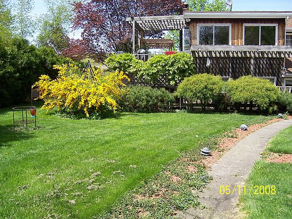 Back Yard View