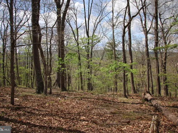 Oak Dr, Winchester, VA 22603