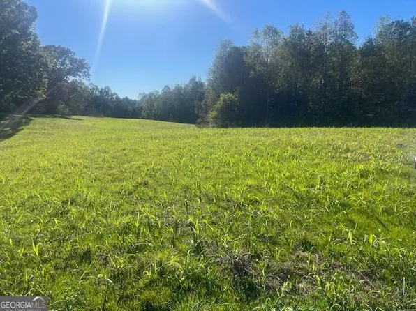 3011 Mark Foster Rd, Talking Rock, GA 30175