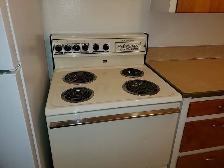 Electric range