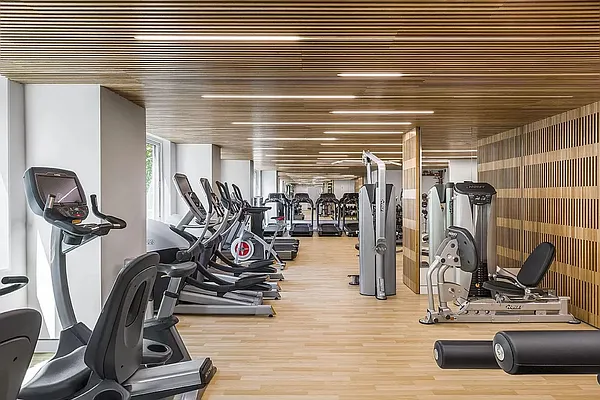 Rented by Level Group | media 8