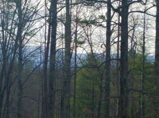 23 Red Bush School Rd, Blue Ridge, GA 30513