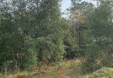 1st image of S SAMSULA DR