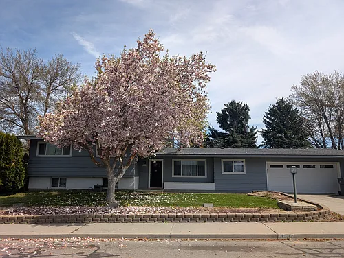 1011 Wedgewood Ave Photo 1