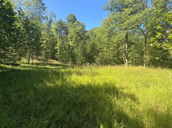 Third Run Rd, Glenville, WV 26351
