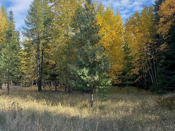 4th image of Nna Cougar Rd