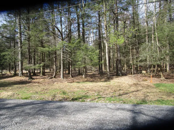 166 Lark Ln, Flinton, PA 16640