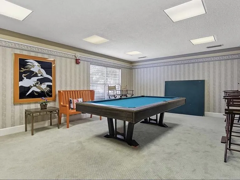 4950 Gulf Blvd #501 — Photo 10