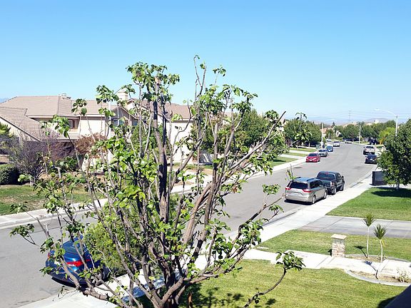 4th image of 7402 Excelsior Dr