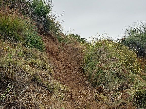 5th image of 18415 Pch