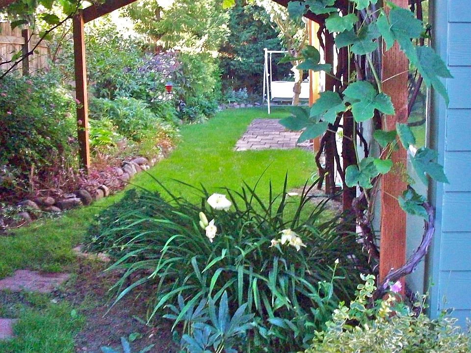 Grape arbor in back.