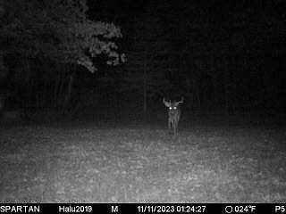 2nd image of W9395 County Road C