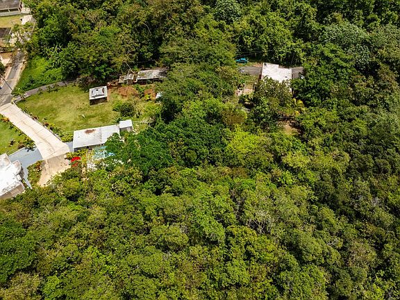 5th image of Commons Caban 391 Bo Corrales