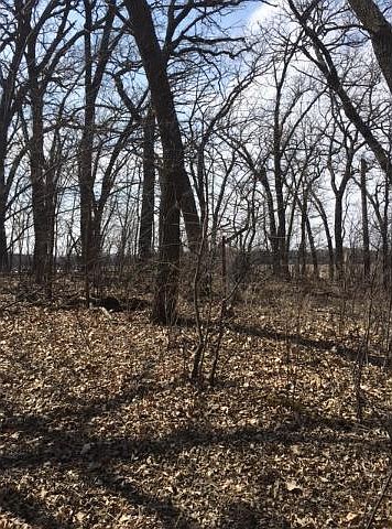 2nd image of 8 Tbd County Rd