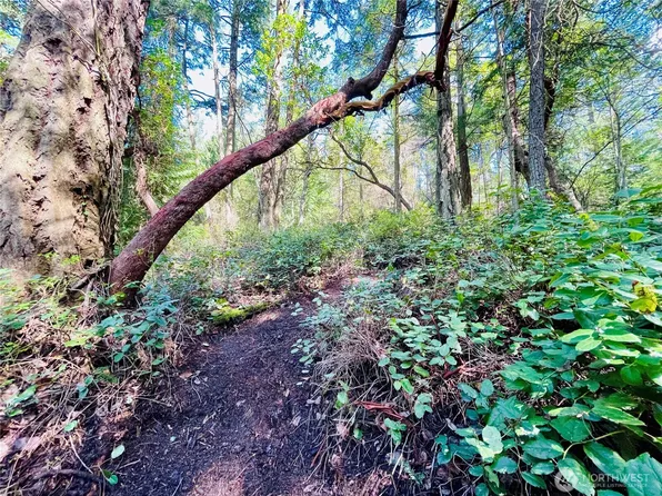 0 Madrona Drive, Friday Harbor, WA 98250