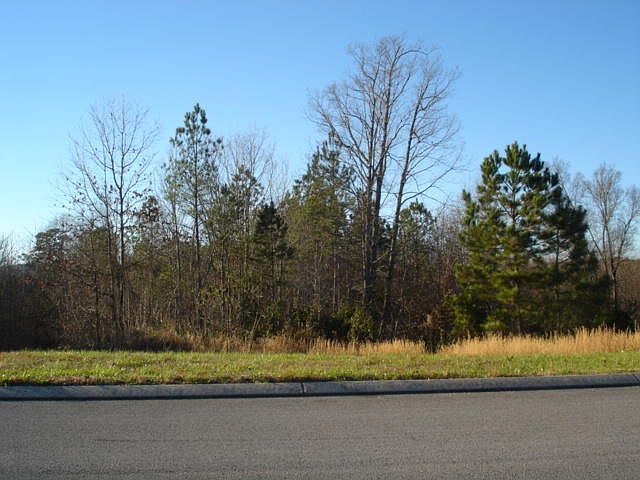 2nd image of 216 Promise Heights Dr