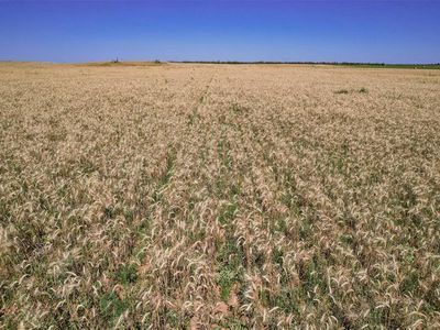 (Undisclosed Address), Altus, OK, 73521