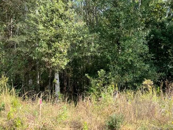 0 Moeller Rd, Picayune, MS 39466