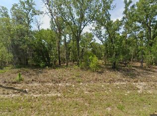 1900 W Magenta Dr Lot 21, Dunnellon, FL 34434
