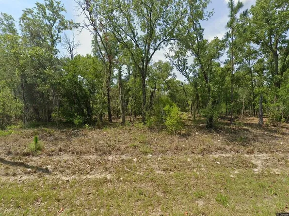 1900 W Magenta Dr Lot 21, Dunnellon, FL 34434