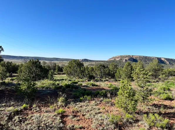 LOT 47 Green Meadow Dr, Ramah, NM 87321