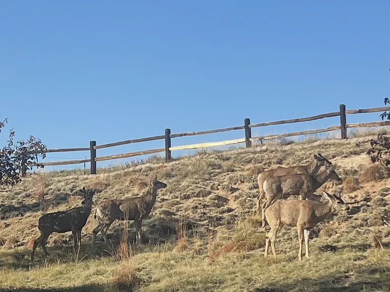 3946 Pecos Trl — Photo 26