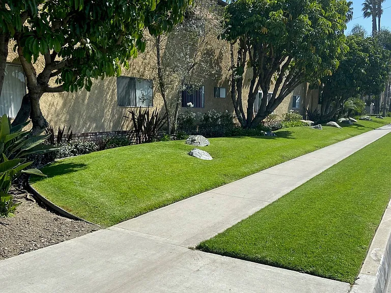 Woodruff Street View