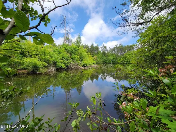 L5 Cumberland Lakes Dr, Monterey, TN 38574