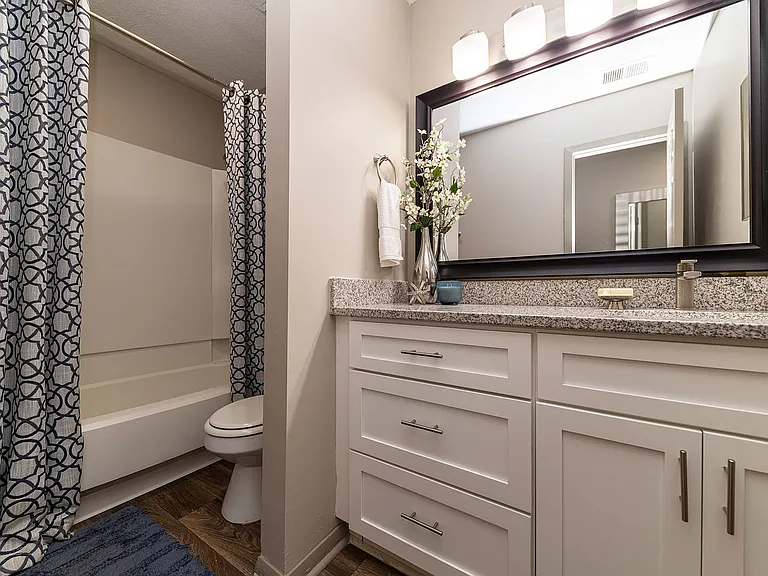 Bright bathroom with granite counters and bathtub
