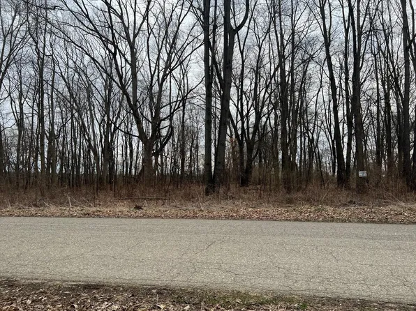 N Shore Dr, Edwardsburg, MI 49112