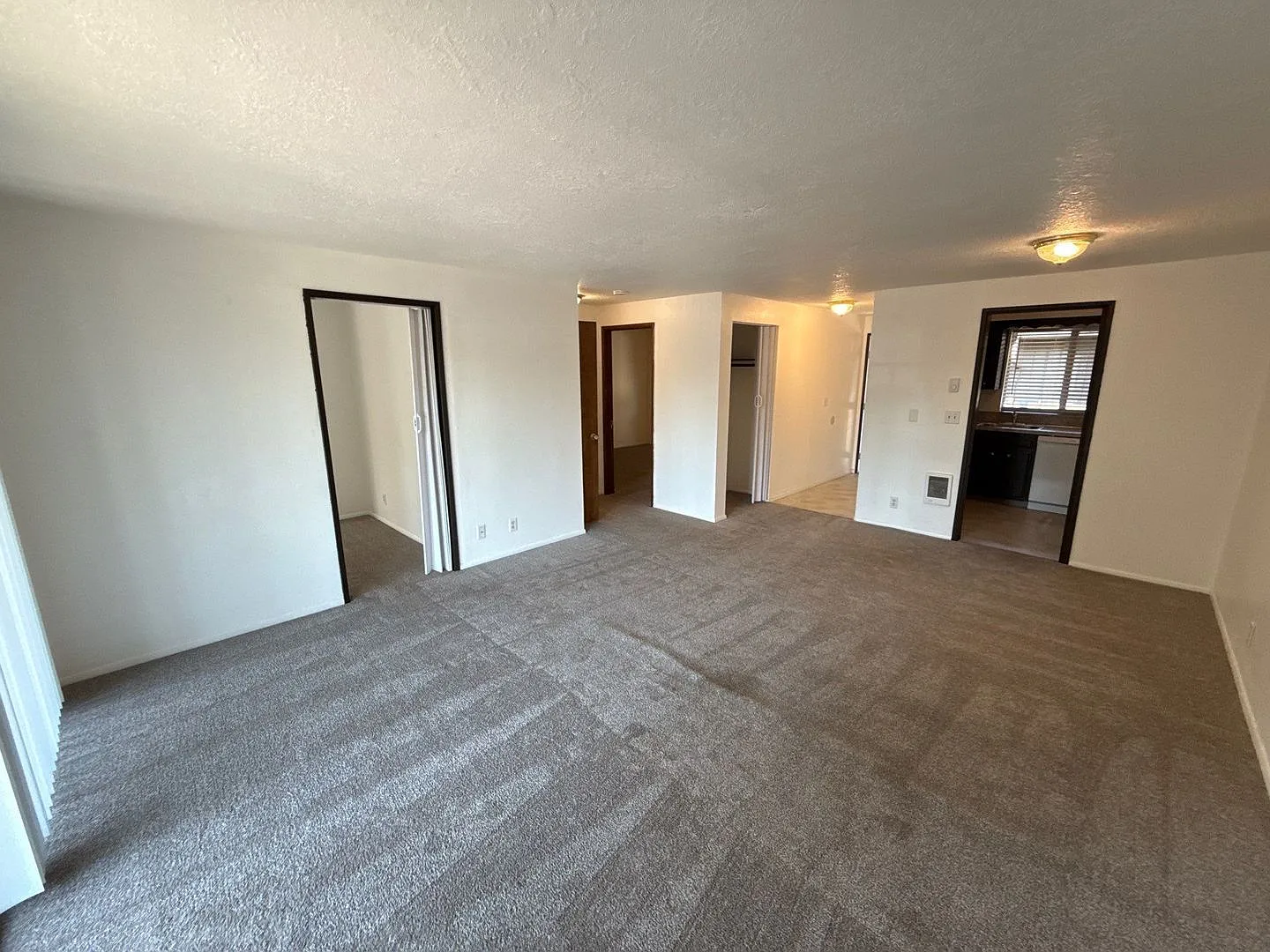 1 bed, 1.0 bath, 730 sqft, $1,175 — Photo 4