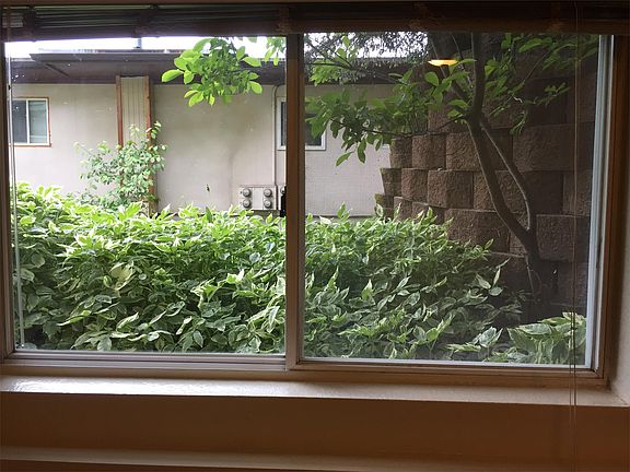3rd image of 1110 W 20th Ave #16596013