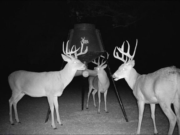 2nd image of 9109 W Lakeview Rd