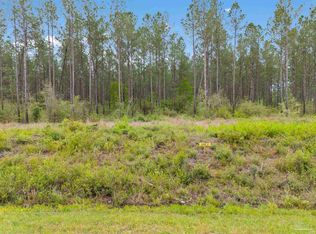 LOT 6 Mineral Springs Rd, Jay, FL 32565