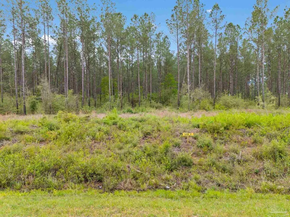 LOT 6 Mineral Springs Rd, Jay, FL 32565