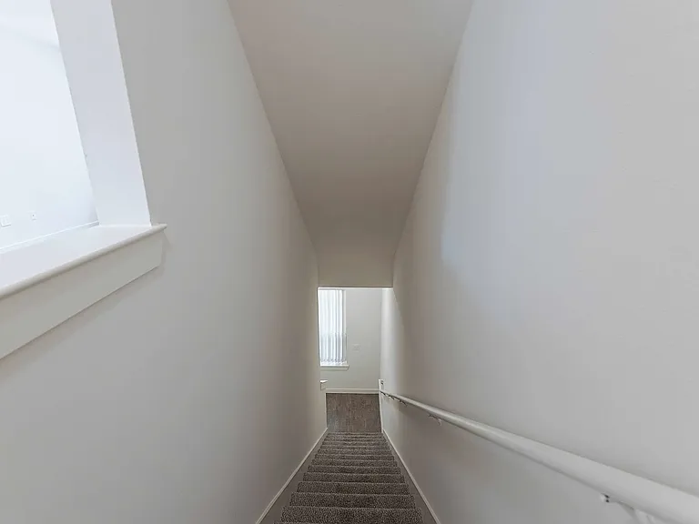 The District At Cypress Waters - Parson's Green — Photo 118