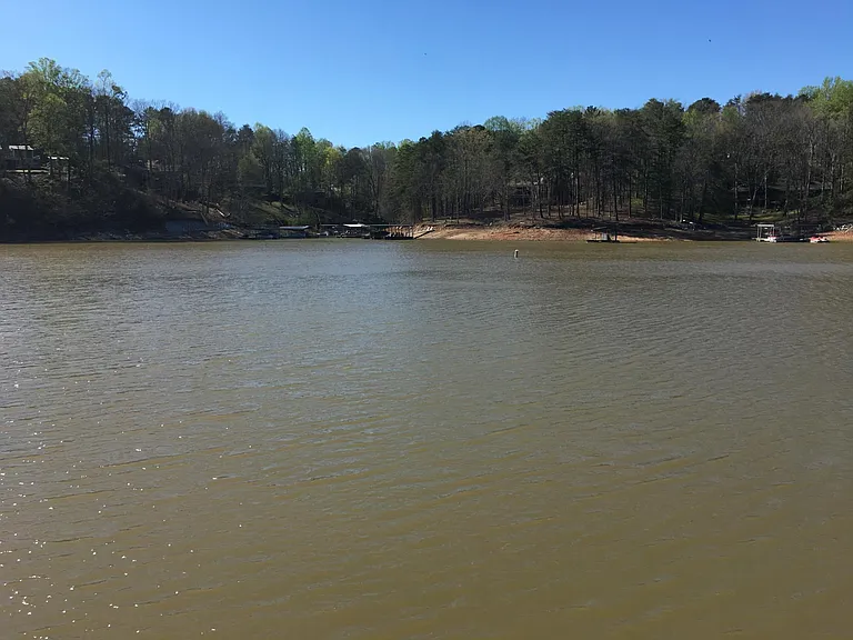 Large quiet cove just up the channel from Bald Ridge Marina