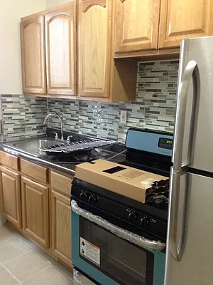 Rented by Link NY Realty | media 1