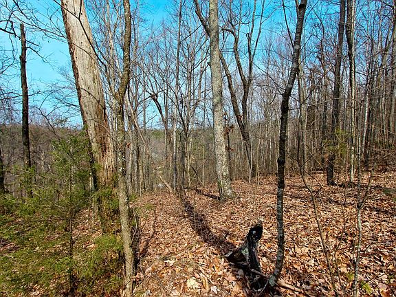 4th image of 5 59 Acres Navarro Dr