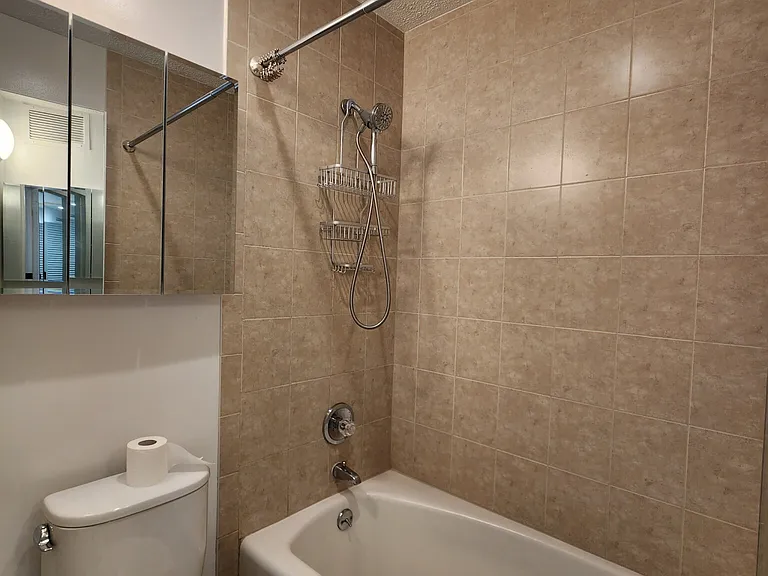 260 E Chestnut St #803 — Photo 10