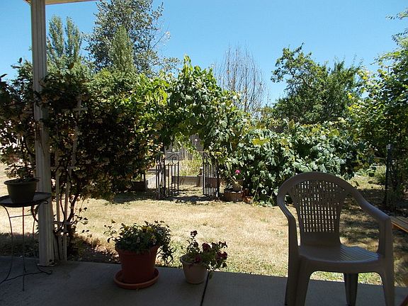 Patio View of Grapevines