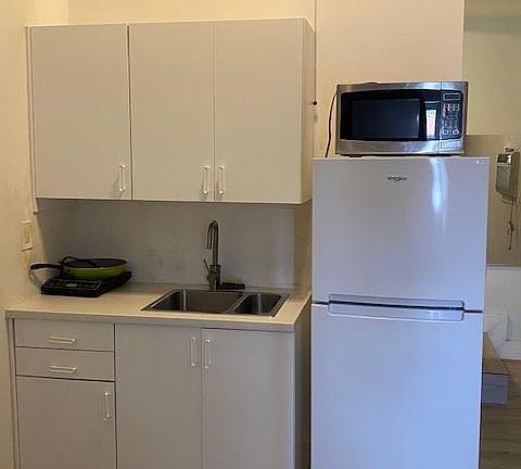 nice great kitchen with new refrigerator, microwave, induction cooktop oven. sink .
