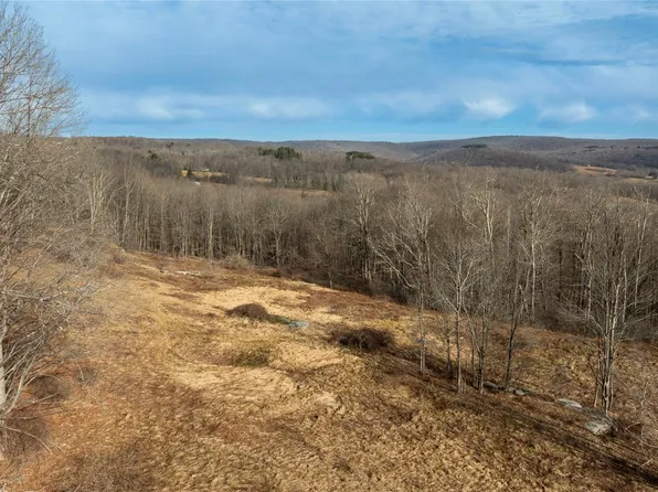 TBD Yaun Road, Livingston Manor, NY 12758