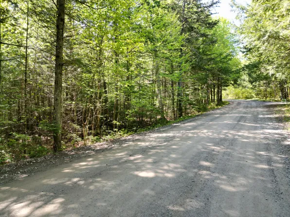 299 Webb Cove Drive, Lowell, ME 04493