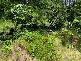 5th image of 0 White Stone Dr #4