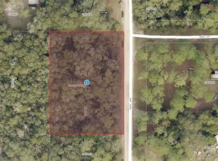 01-17-28-0100-00 East Ave LOT 56, Paisley, FL 32767