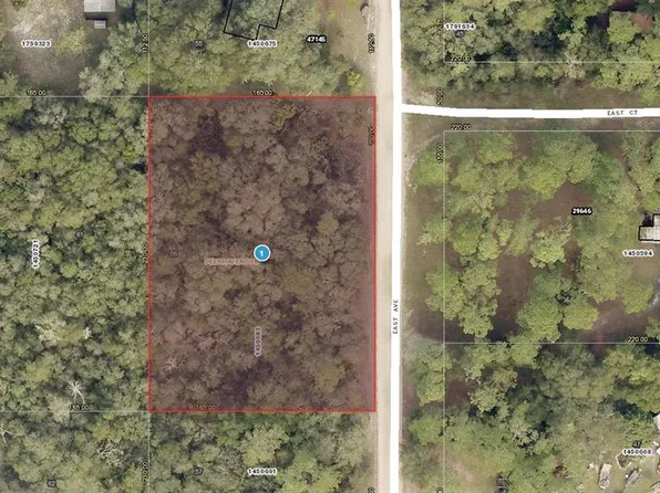 01-17-28-0100-00 East Ave Lot 56, Paisley, FL 32767